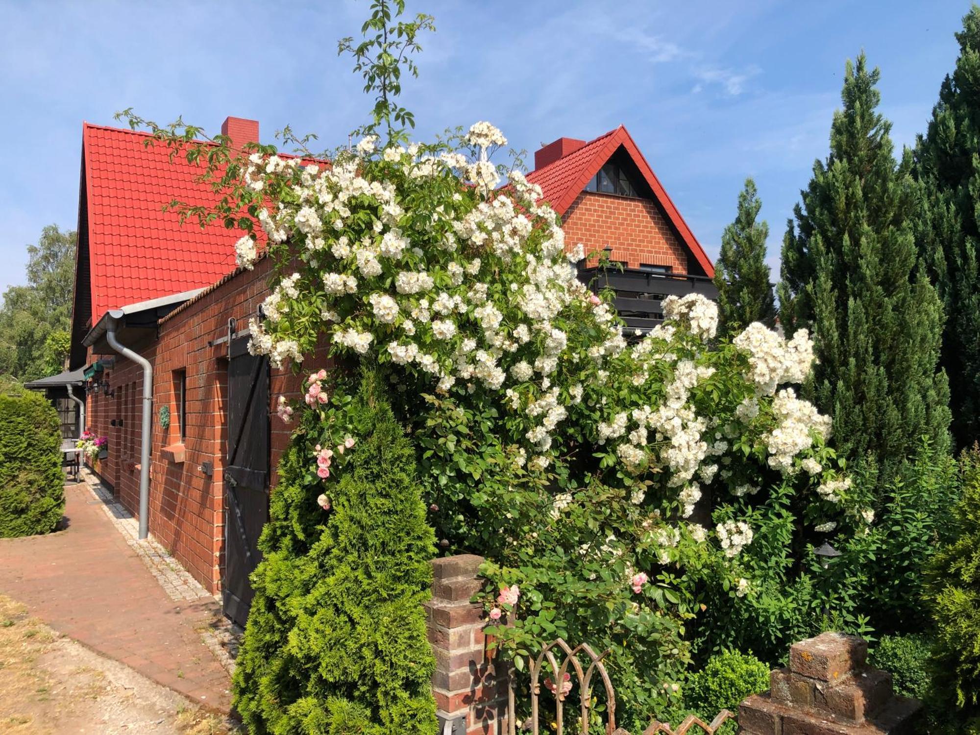 Landhaus Schlunt Wustrow  Ngoại thất bức ảnh